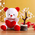  Top 10    teddy bear  images Photos , greetings, pictures for Whatsapp