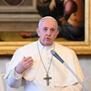 www.seuguara.com.br/Papa Francisco/encíclica/