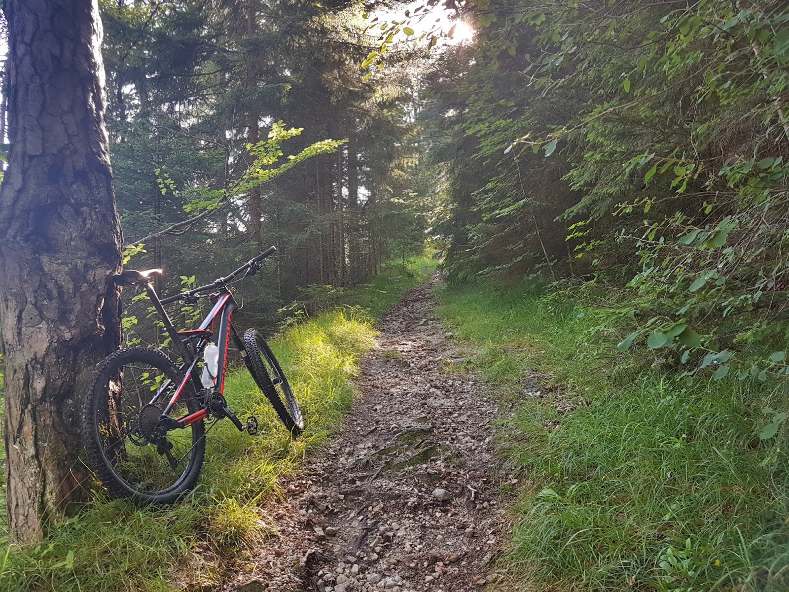 Rad Mountainbike Und E Bike Verleih Ferienregion Hohe Salve