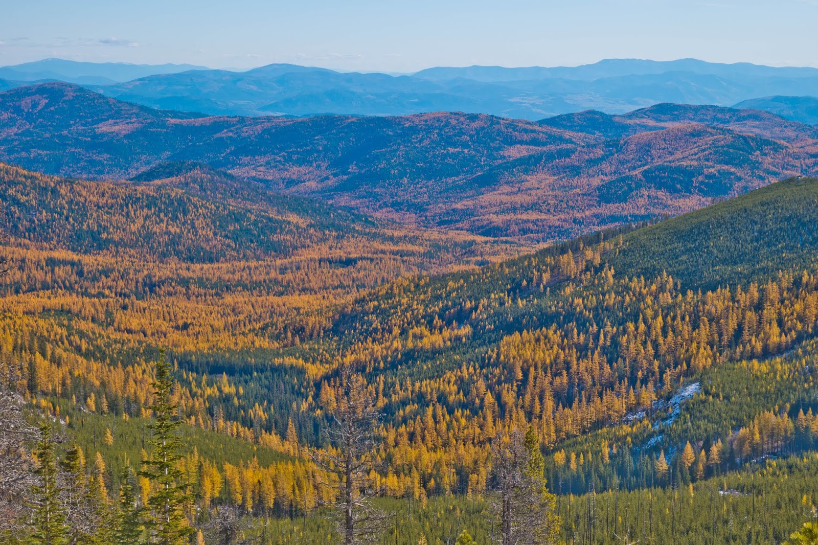 Hiking Shenandoah Sherman Peak Loop