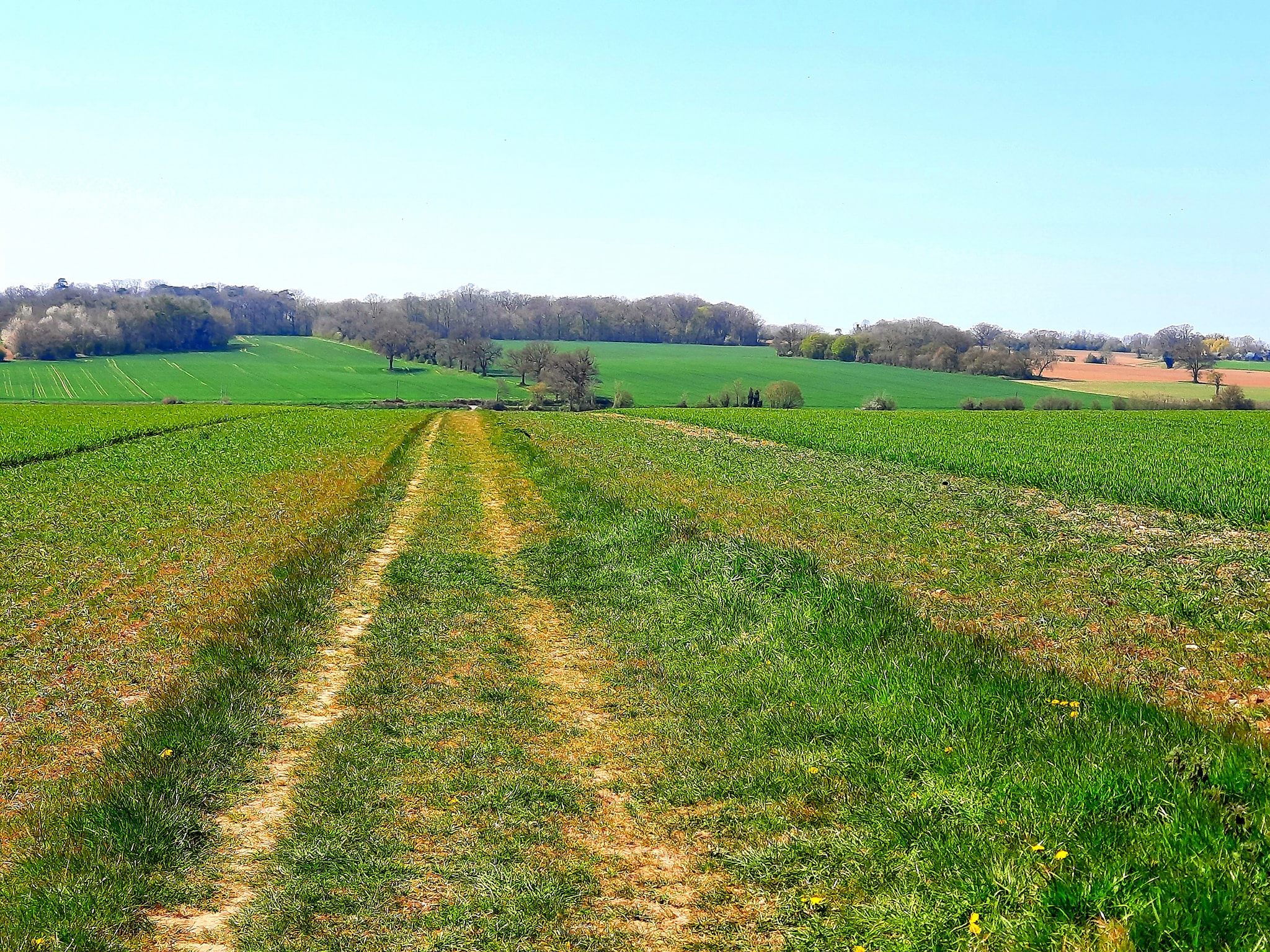 My Adventures 3 Manuden,Ugley,Ugley Green and Stansted Mountfitchet