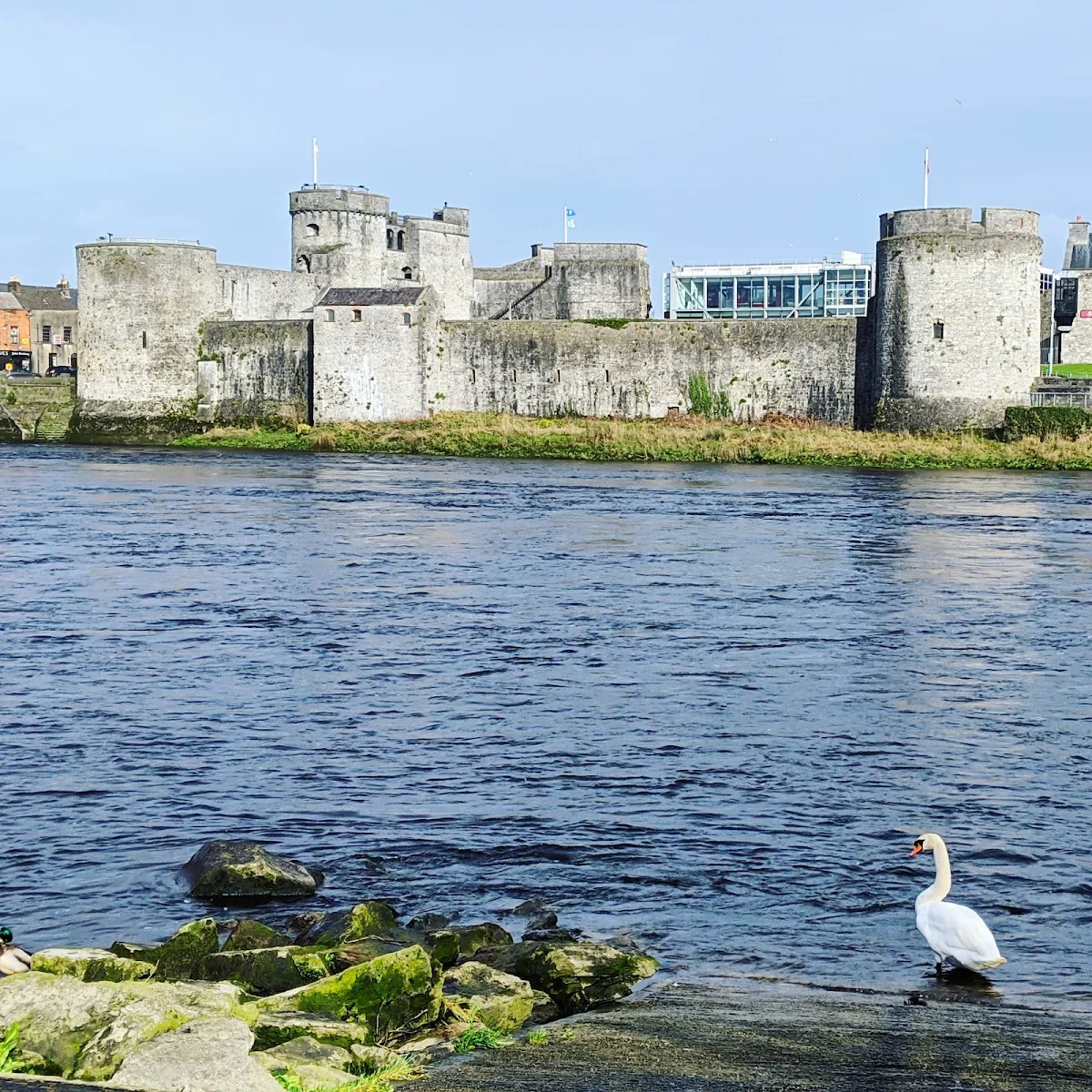 Why Visit Limerick? 15 Great Things to See, Do, and Eat (Plus Bonus