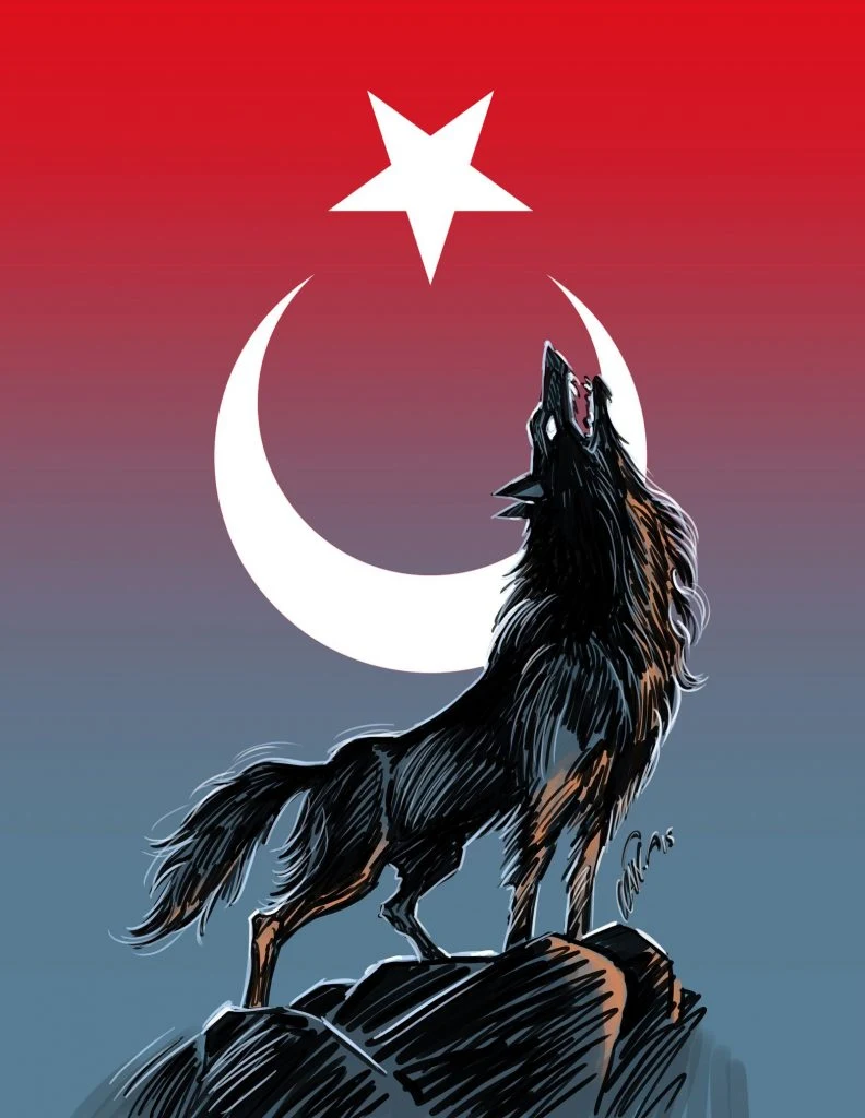 Bozkurt Destanı, Türk Bayrağı ve Kurt