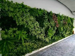 TUKANG TAMAN VERTICAL GARDEN TUBAN