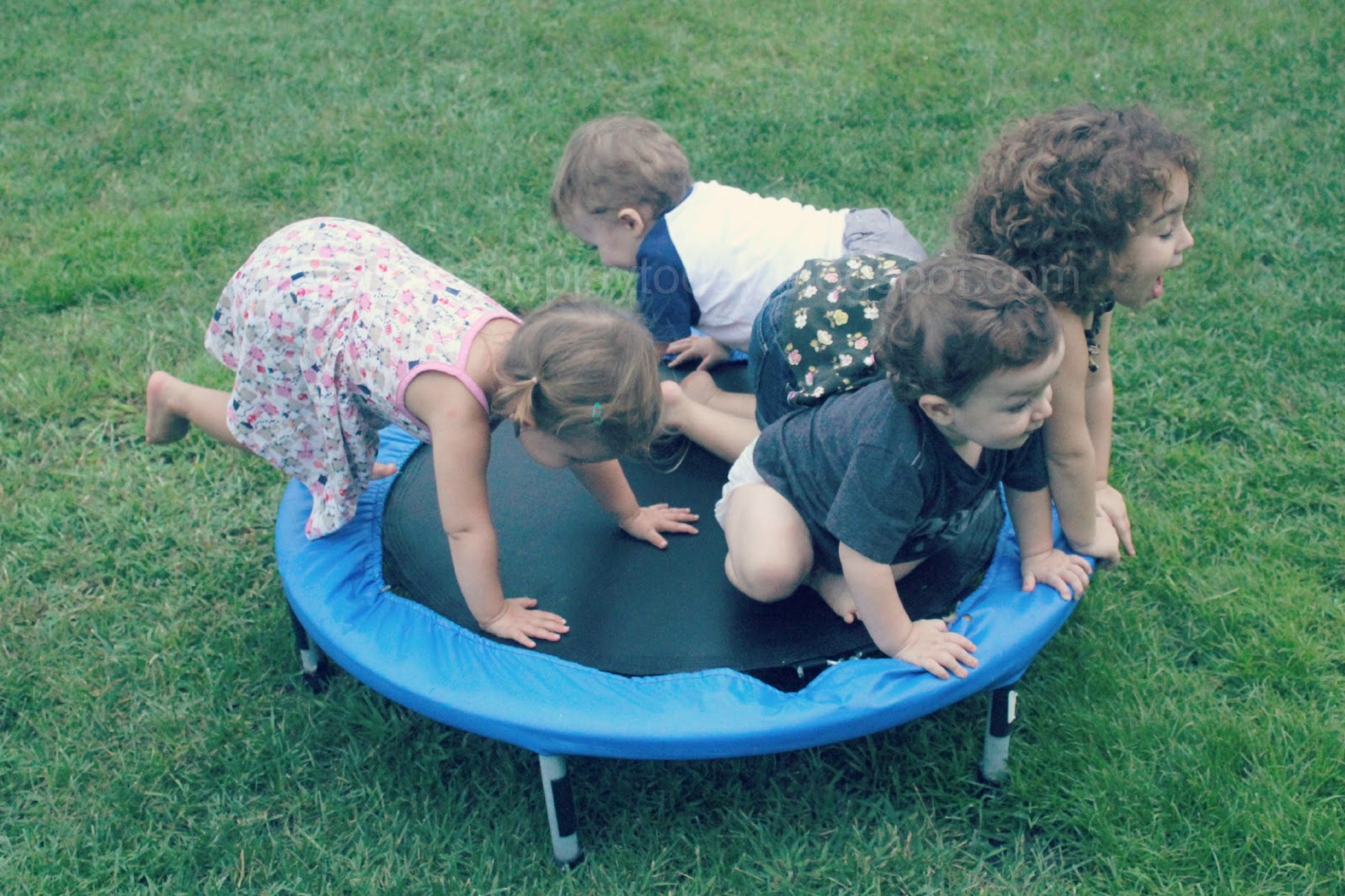 Little Mouse's House babies on a trampoline