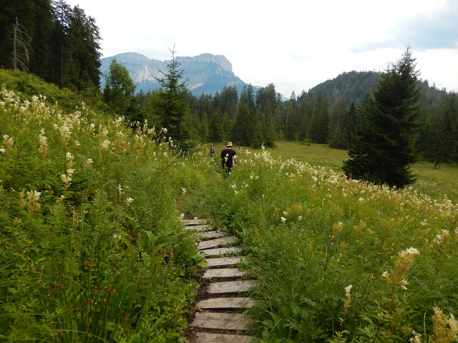 der-wanderfreund-almwanderung-im-salzkammergut-bei-altaussee-in-der