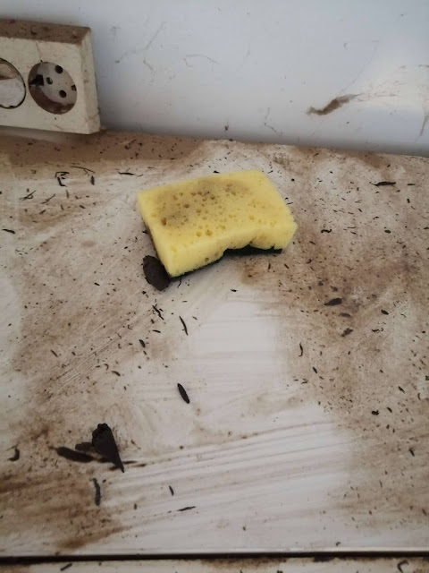 Cleaning top of kitchen cabinets