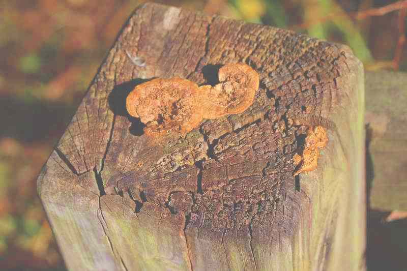 화순 영구산 운주사 화순 영구산 운주사