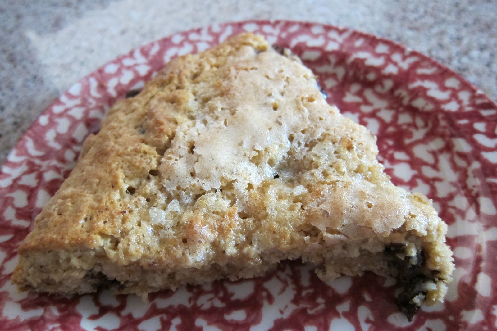 NOVA Frugal Family Peanut Butter Chocolate Chip Oatmeal Scones