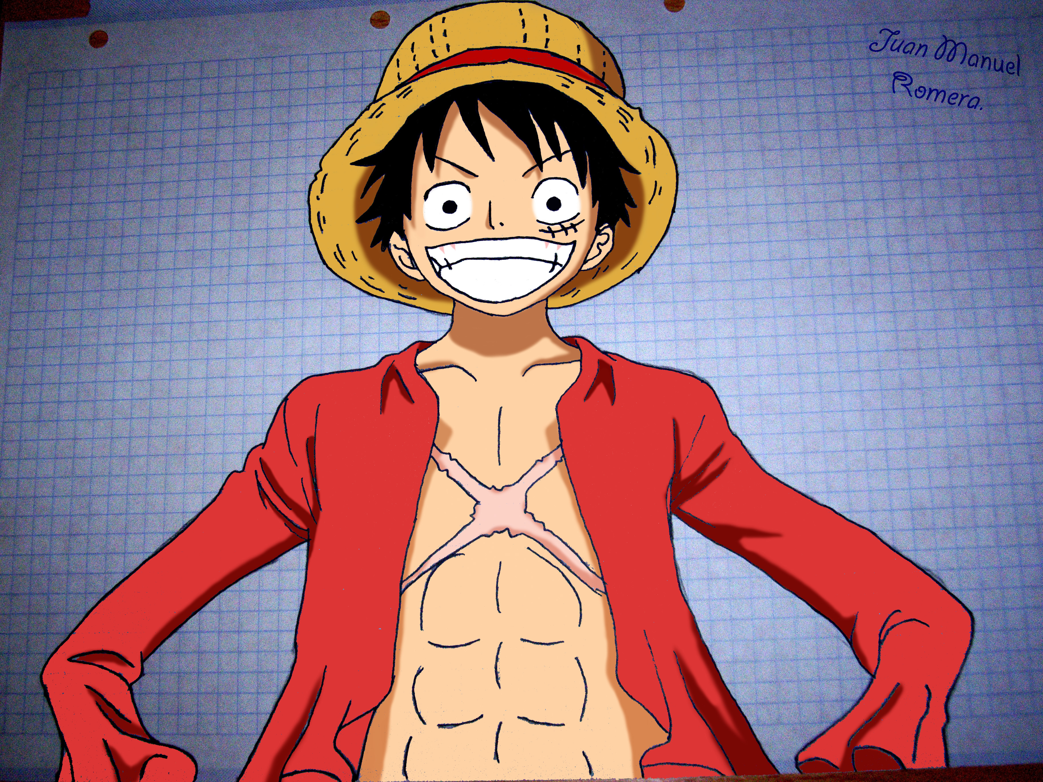 Pz C One Piece Luffy.