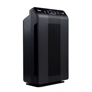 Winix 6300-2 True HEPA Air Cleaner with PlasmaWave Technology, review plus buy at low price