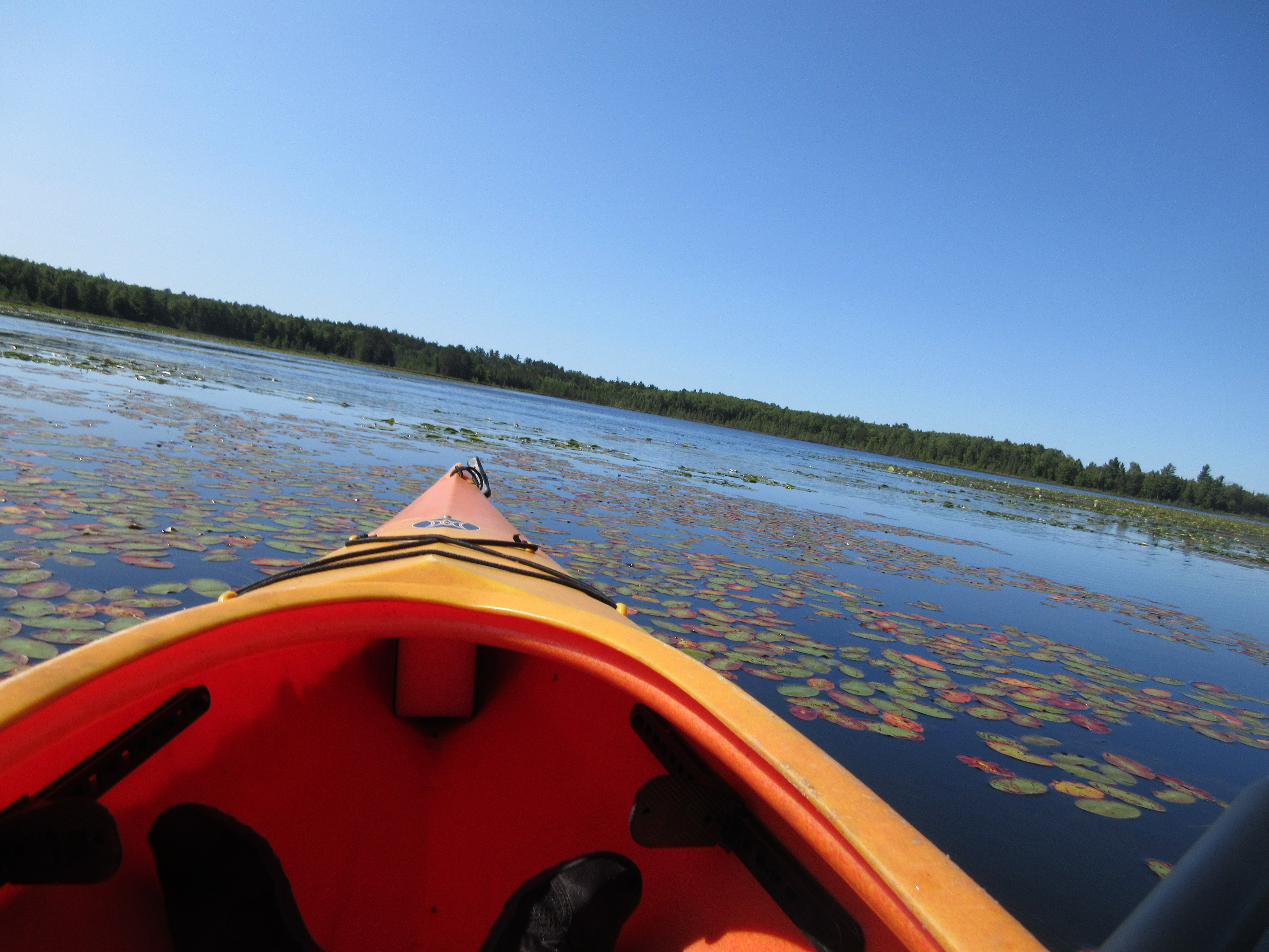 Dave's Yak Tales Lake Tomahawk, Saturday