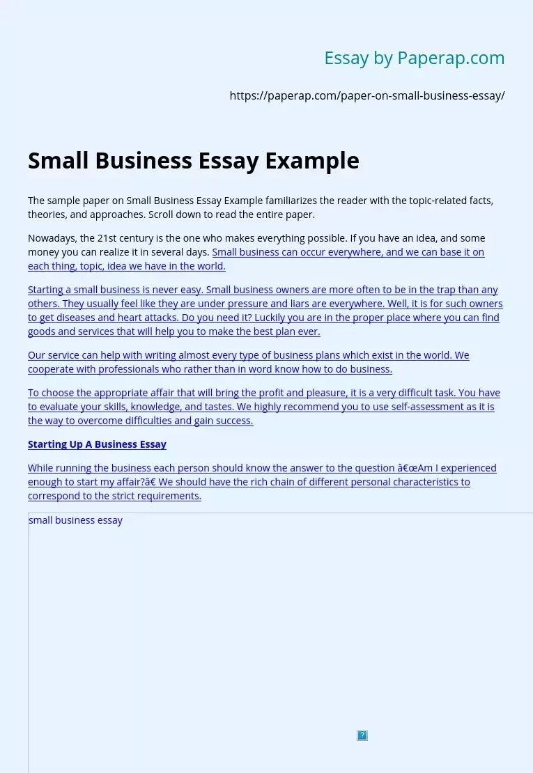 essay about my business