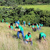 Voluntarios reforestan en Bonao