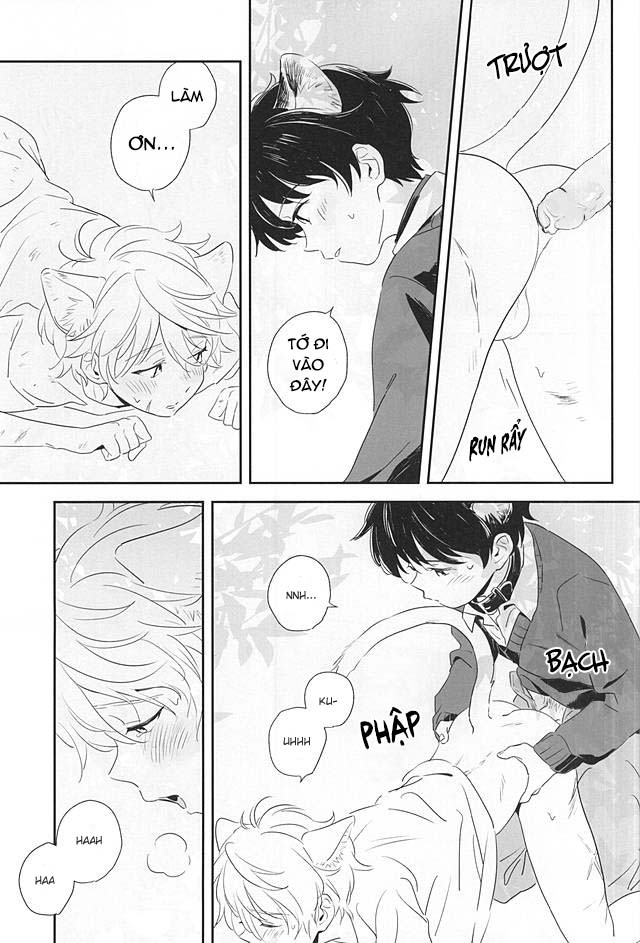 Đọc truyện Hai Kẻ Đơn Độc - Chapter 0