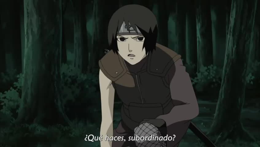 Ver Naruto Shippuden Vida paradisíaca en un barco - Capítulo 242