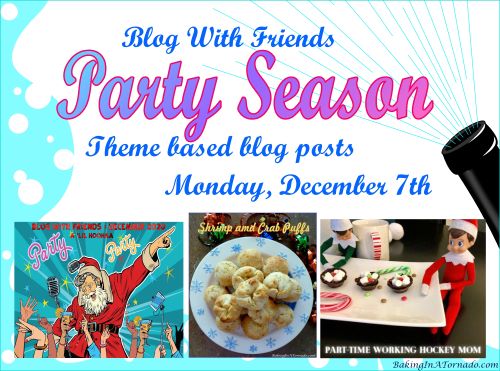 Blog With Friends, a multi-blogger project based post incorporating a theme, Party Season | Featured on www.BakingInATornado.com