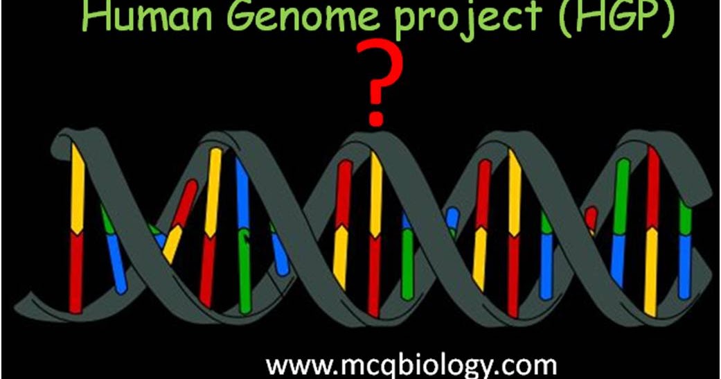 Multiple Choice on Human Genome Project (HGP) MCQ Biology Learning