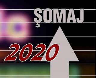 previziuni somaj bugetari 2020 cota unica anulata previziuni somaj bugetari 2020 cota unica anulata