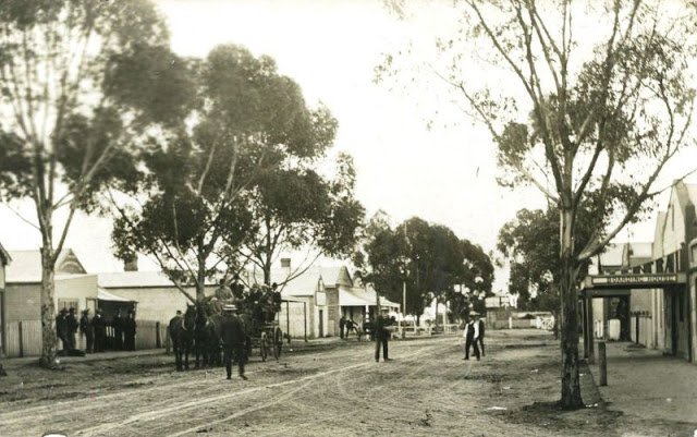 Fotografías del sur de Australia a principios del siglo XX