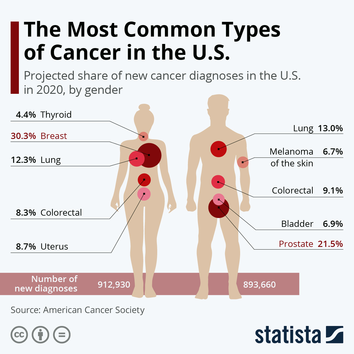 The Top 10 Cancers in the USA Infographic Visualistan