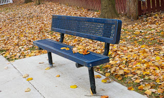 bench surrounded by autumn leaves