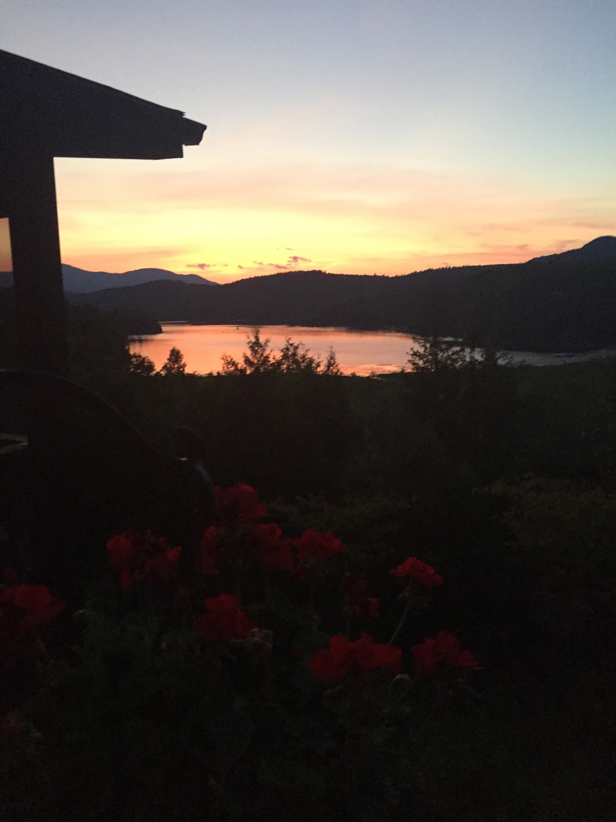 Chic in Carolina My Chic Week July 29 August 4