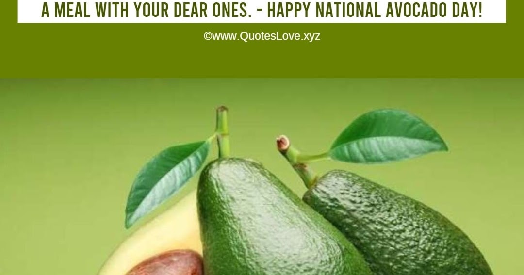 17+ [Best] National Avocado Day 2020: Quotes, Sayings, Wishes