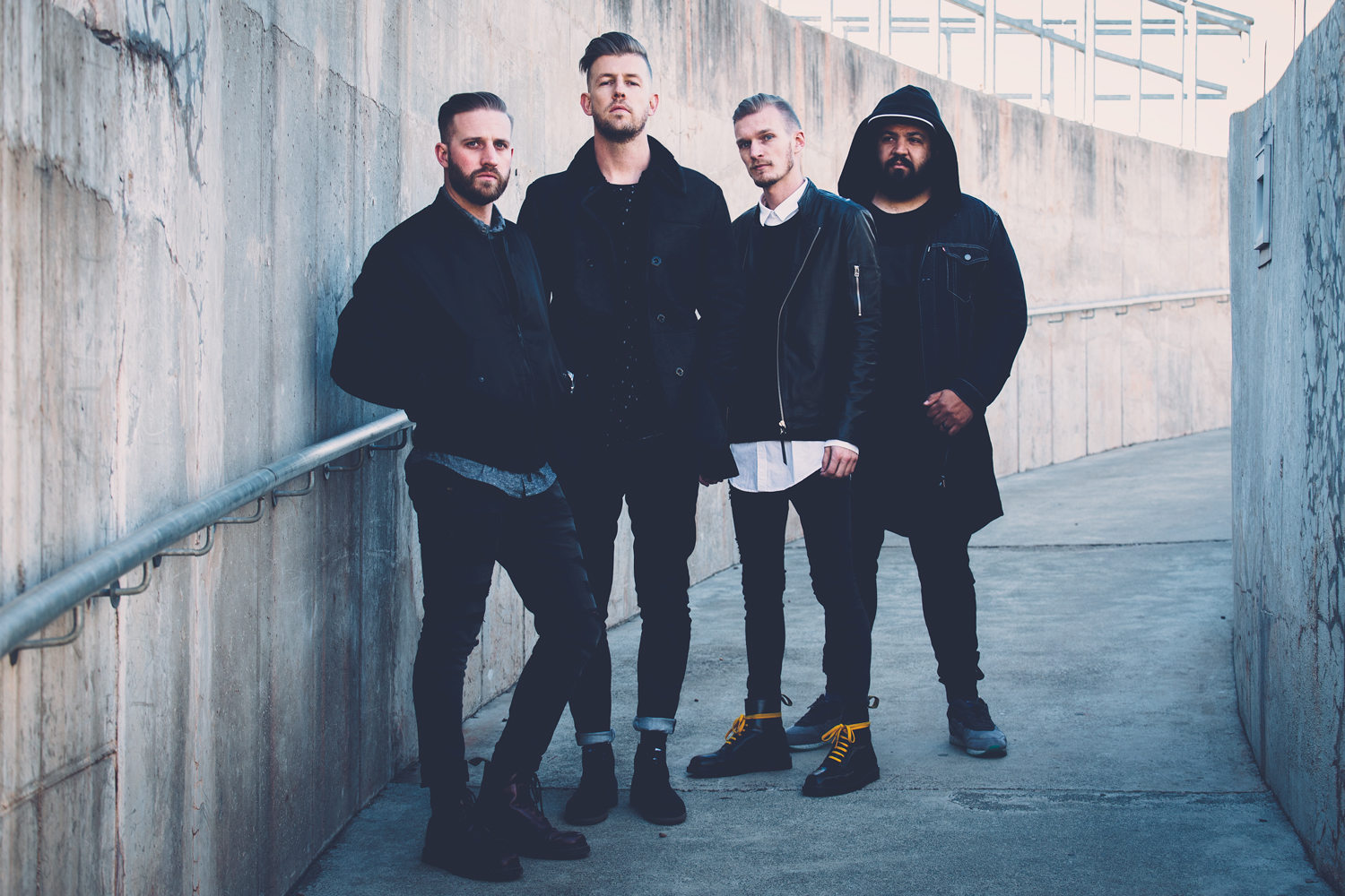 Zebra & Giraffe rocks with Slow Motion!