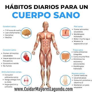 Habitos Diarios Para Un Cuerpo Sano eBook salud consejos tips Habitos Diarios Para Un Cuerpo Sano eBook salud consejos tips
