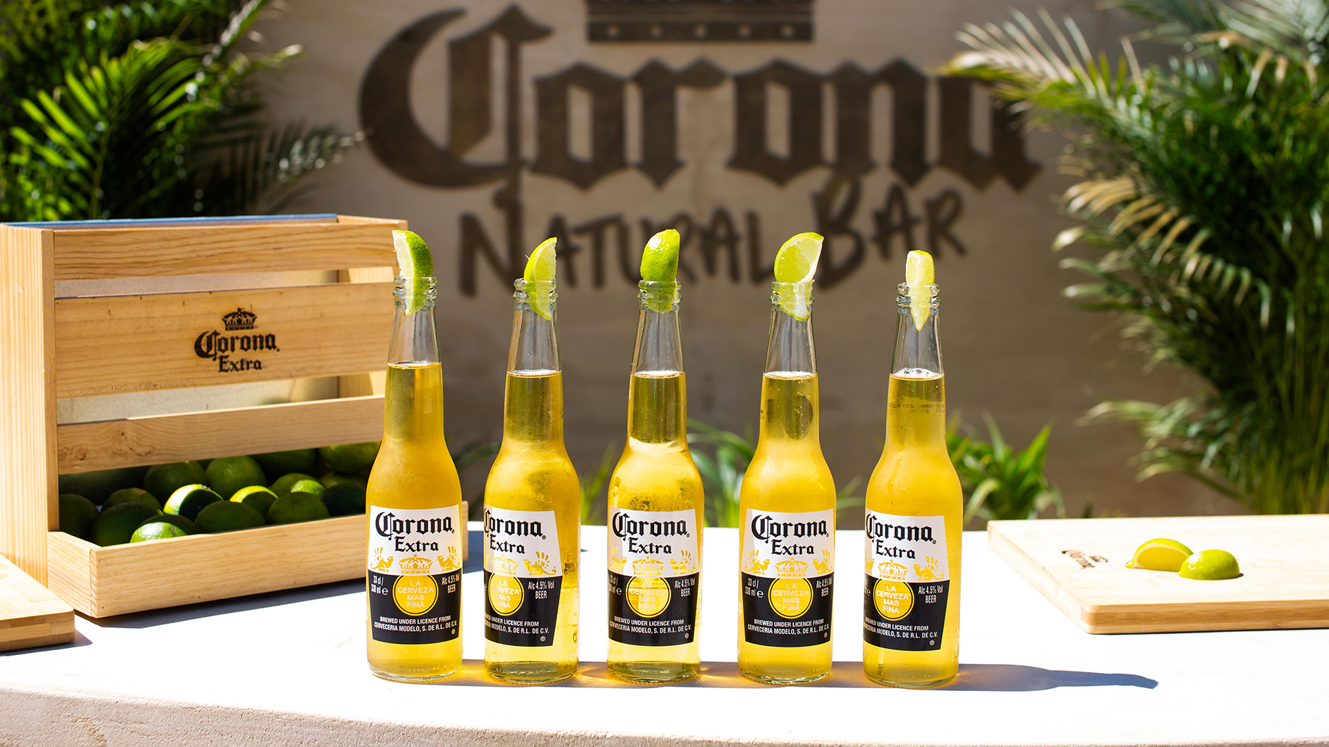 Cerveja Corona realiza limpeza na Praia dos Ingleses, em Florianópolis -  Acontecendo Aqui