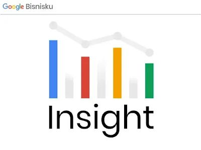 DigiSinc Google Bisnisku Insight