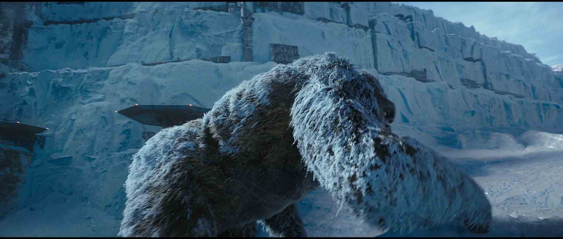 Godzilla vs Kong 2021 1080p Latino 1