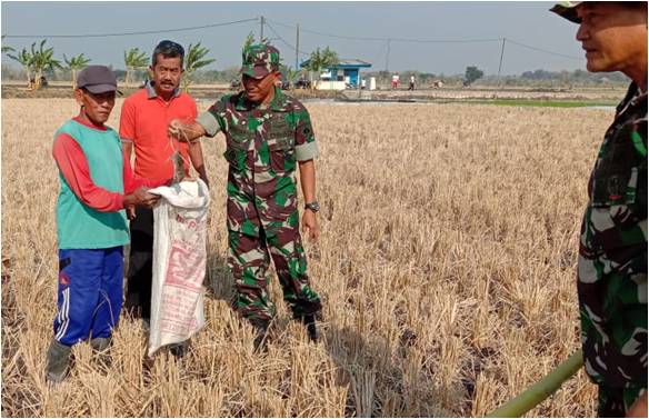 Koramil Sukodono – Petani Gropyokan Tikus