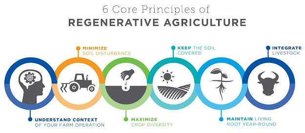 The 6 Core Principles of Regenerative Agriculture - courtesy of General Mills