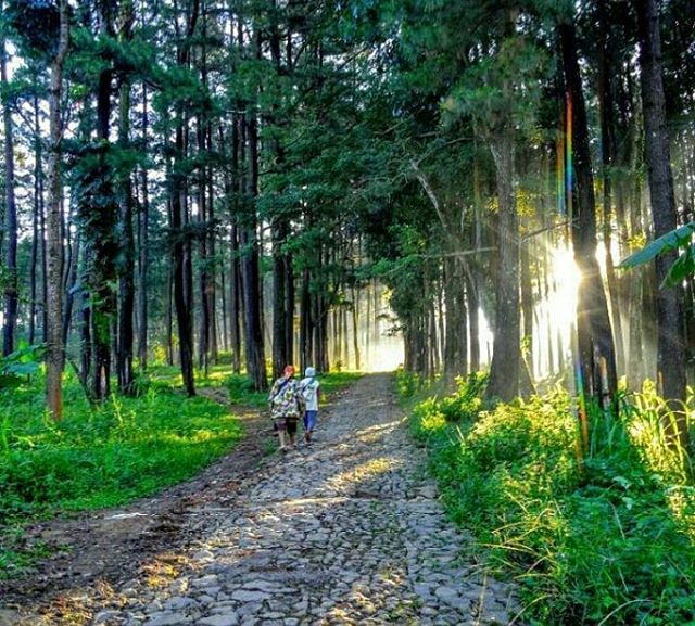 Wana Wisata Sreni Indah : Tempat Liburan murah meriah di Jepara -  Sumber78.Com