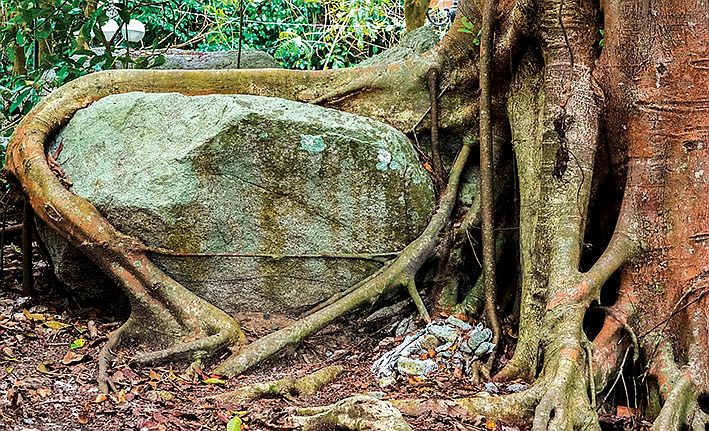 địa điểm du lịch Mộc Châu