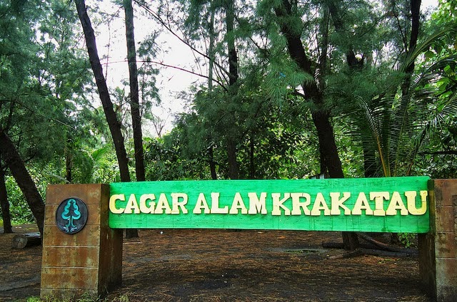 Beberapa Cagar Alam Yang Ada Di Indonesia ~ Rema Marninda Zahara