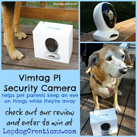 Vimtag security camera giveaway