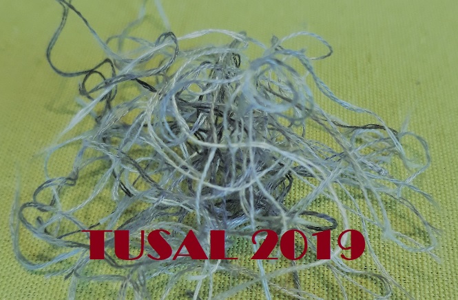 TUSAL 2019