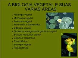 Biologia Vegetal1