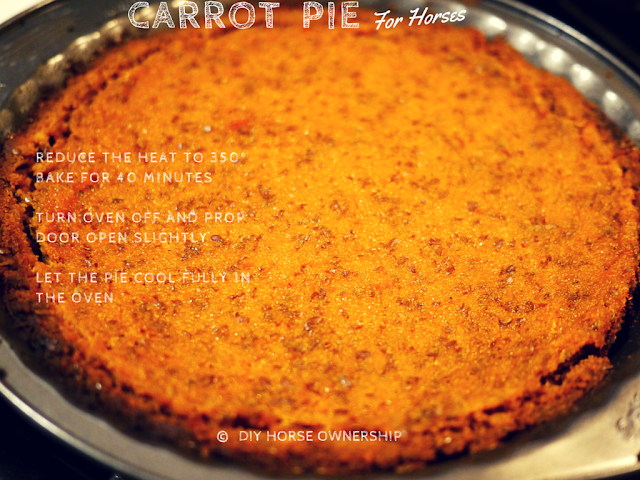 DIY Carrot Pie for Horses Recipe