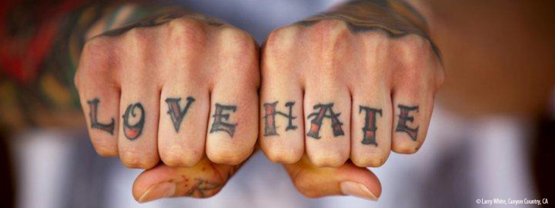 Love Hate Tattooteulugar