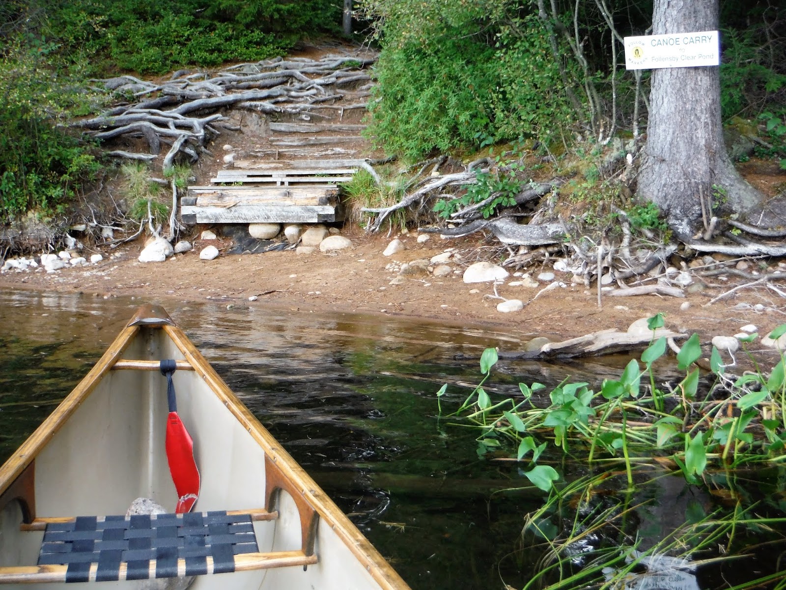 FLOODWOOD PONDS & FISH CREEK canoeing, hiking and camping