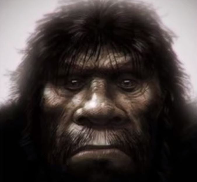 Skunk Ape Activity at Florida Ranch