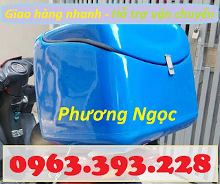 Thùng giao hàng trung 2, thùng chở hàng có mút cách nhiệt, thùng chở hàng 0cfa229e0268f936a079