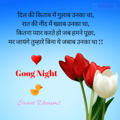 good-night-shayari-with-photo good-night-shayari-photo-hd