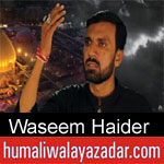 https://humaliwalaazadar.blogspot.com/2019/08/waseem-haider-nohay-2020.html