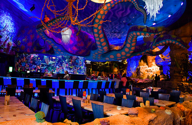 build s besr trex cafe build s besr trex cafe