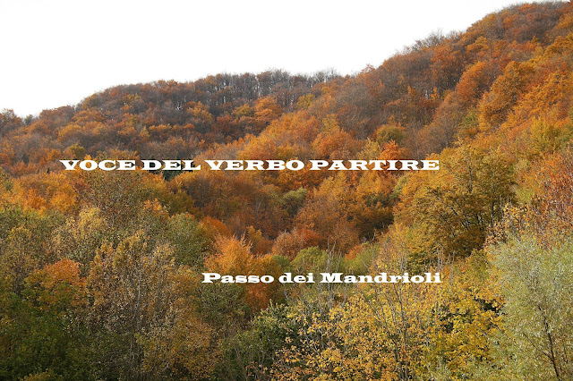 FOLIAGE IN APPENNINO TOSCO ROMAGNOLO